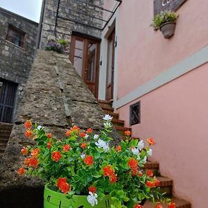 La Casa Di Amelia Ξενοδοχείο Ruviano Exterior photo