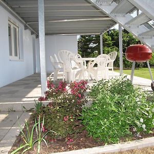 Haus Biengarten Διαμέρισμα Neustadt an der Weinstraße Exterior photo