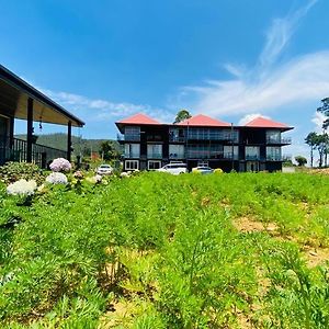 Cozy Cabins Νουβάρα Ελίγια Exterior photo