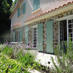 Magnifique Maison Avec Piscine Dans Un Milieu Verdoyant Proche Des Commodites Βίλα Saint-Jean-du-Gard Exterior photo