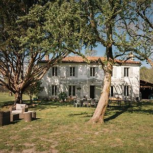 Entre Chenes Et Pins - Gite De Groupe 3 Etoiles Βίλα Hostens Exterior photo