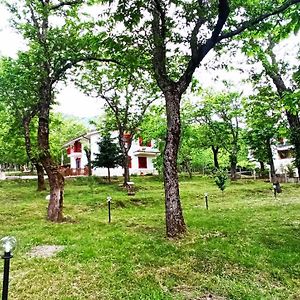 La Casa Nel Bosco Διαμέρισμα Serino  Exterior photo