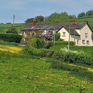 Beautiful Devon Farmhouse Διαμέρισμα Έξετερ Exterior photo