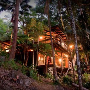 Currumbin Rainforest Treehouse Βίλα Currumbin Valley Exterior photo