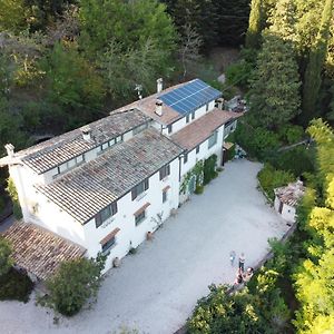 Bed And Breakfast Il Governatore Ουρμπίνο Exterior photo