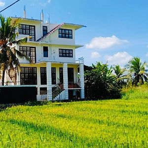 Freedom Of Green Rice View Ξενοδοχείο Anuradhapura Exterior photo