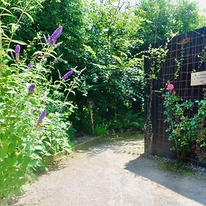 Les Bobos A La Ferme Bed and Breakfast La Madelaine-sous-Montreuil Exterior photo