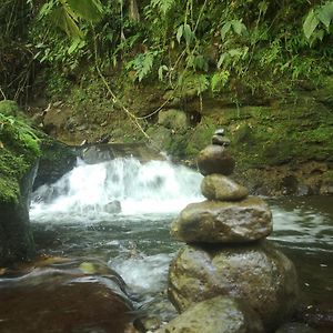 Habana River Lodge And Sanctuary La Fortuna Exterior photo