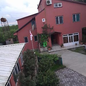 Zau Vila Ξενοδοχείο Grigoleti Exterior photo