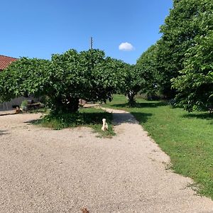 Gite La Longere Bleue Βίλα Caylus Exterior photo