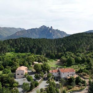 Les Hauts De Cavanello Bed and Breakfast Zonza Exterior photo