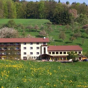 Dornroeschen Ξενοδοχείο Höchst im Odenwald Exterior photo