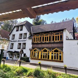 Waldhotel Pfarrmuehle Eisenberg  Exterior photo