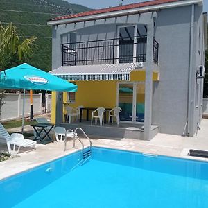 House With Pool - Mitrovic Βίλα Χέρτσεγκ Νόβι Exterior photo