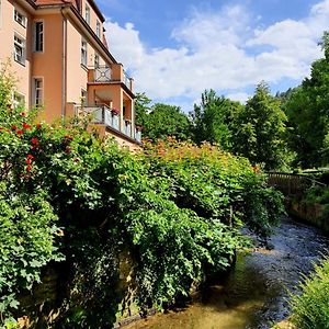 Arthouse Am Kurpark Bad Schandau Διαμέρισμα Exterior photo