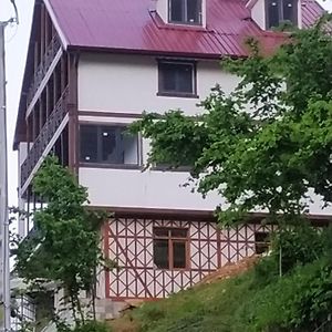 Caykara-Nanaga1883-Entire 1 Bedroom Flat With Balcony-Lake-Mountain View Τραμπζόν Exterior photo