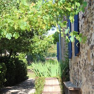 La Maison Cayre Bed and Breakfast Mirandol-Bourgnounac Exterior photo