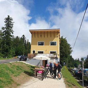 Chalet Jaune Le Grand Som Ξενοδοχείο Sarcenas Exterior photo