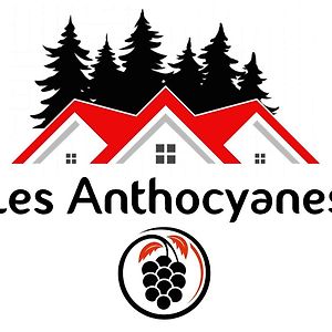 Les Anthocyanes Chambre Foret Ξενοδοχείο Champagny Exterior photo