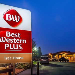 Best Western Plus Tree House Ξενοδοχείο Mount Shasta Exterior photo