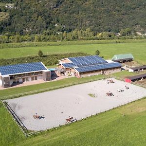 Agriturismo L'Isola Del Cavallo 3 Διαμέρισμα Desco Exterior photo