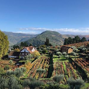 Quinta Vila Rachel - Winery Ξενοδοχείο Sao Mamede de Ribatua Exterior photo