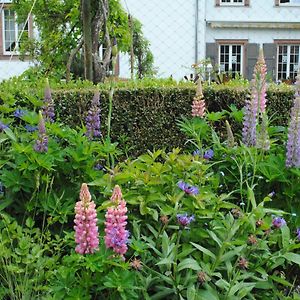 La Vieille Eglise Bed and Breakfast Le Hohwald Exterior photo