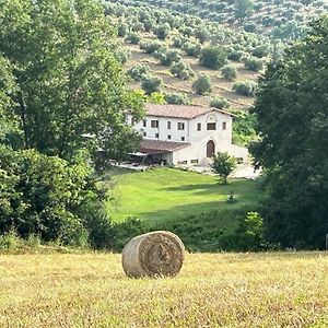 L'Antica Tenuta Bed and Breakfast Montemaggiore  Exterior photo