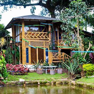 Casa Del Arbol, Romantico, Piscina, En Chinauta, El Mejor Clima Ξενοδοχείο El Michu Exterior photo