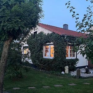 Idyllische Gaestehaus Im Gruenen Διαμέρισμα Altenstädt Exterior photo