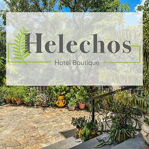 Helechos Hotel Comayagua Exterior photo