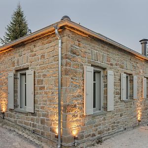 Lozart Traditional Stone House Βίλα Elliniko  Exterior photo