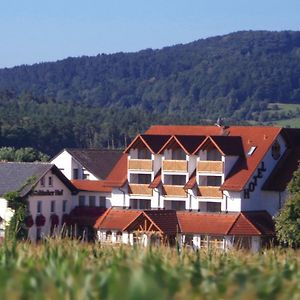 Wagners Fraenkischer Hof Ξενοδοχείο Altenkunstadt Exterior photo