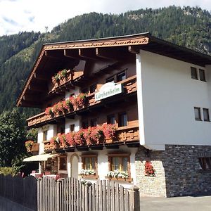 Gaestehaus Laerchenheim Ξενοδοχείο Mayrhofen Exterior photo