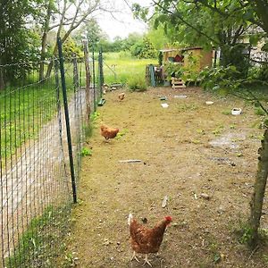 La Ferme Du Petit Chavernay Βίλα Meslay-le-Vidame Exterior photo