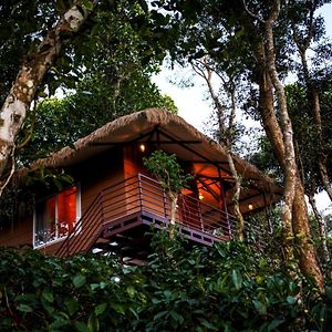 Coffee Cradle Wayanad Luxuorios Private Tree House - Inside 2 Acre Coffee Plantation Wetlands Wayanad Resort With Natural Waterfalls #Securewayanadtreehouse Mananthavady Exterior photo