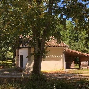 Eco-Gite En Pleine Nature Διαμέρισμα Lisle-sur-Tarn Exterior photo