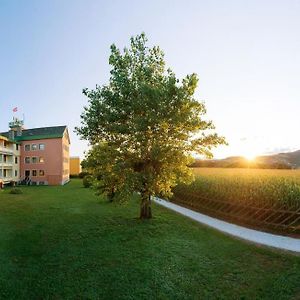 Wilfinger Ring Bio Hotel Hartberg Exterior photo