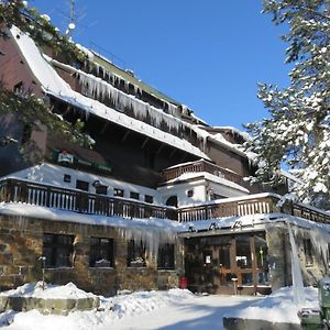 Penzion Sykovec Ξενοδοχείο Tři Studně Exterior photo