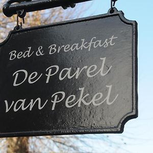 De Parel Van Pekel Bed and Breakfast Nieuwe Pekela Exterior photo