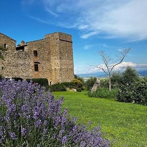 Medieval Tower In Umbria With Swimming Pool Βίλα Montelagello Exterior photo