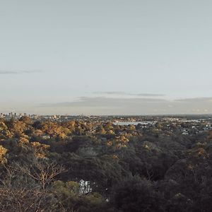 Cosy Studio With A Big View Διαμέρισμα Σίδνεϊ Exterior photo