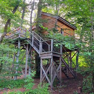 La Pat' De L'Ours Βίλα Raon-aux-Bois Exterior photo