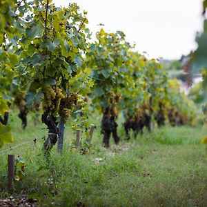 Gite Au Milieu Des Vignes Βίλα Prignac-et-Marcamps Exterior photo