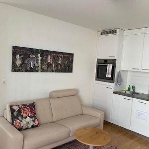 2 Zimmer Appartement Mit Eigenem Bad Und Kueche Βίντερτουρ Exterior photo