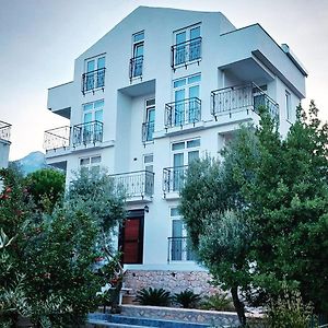 Seron Mountain House Διαμέρισμα Geyikbayiri Exterior photo