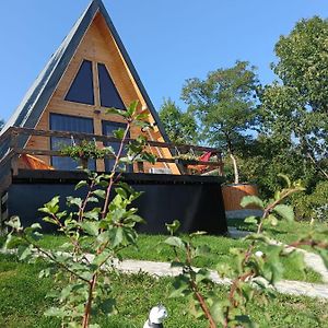 Carpatina Rustic House Ξενοδοχείο Runcu  Exterior photo