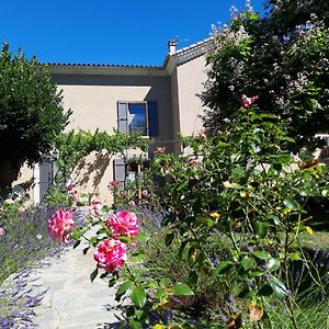 Le Clos Du Verger Bed and Breakfast La Motte-du-Caire Exterior photo