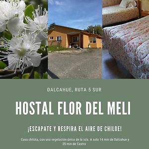 Hostal Flor Del Meli Bed and Breakfast Dalcahue Exterior photo