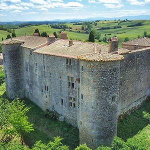 Chateau De Mézerville Exterior photo